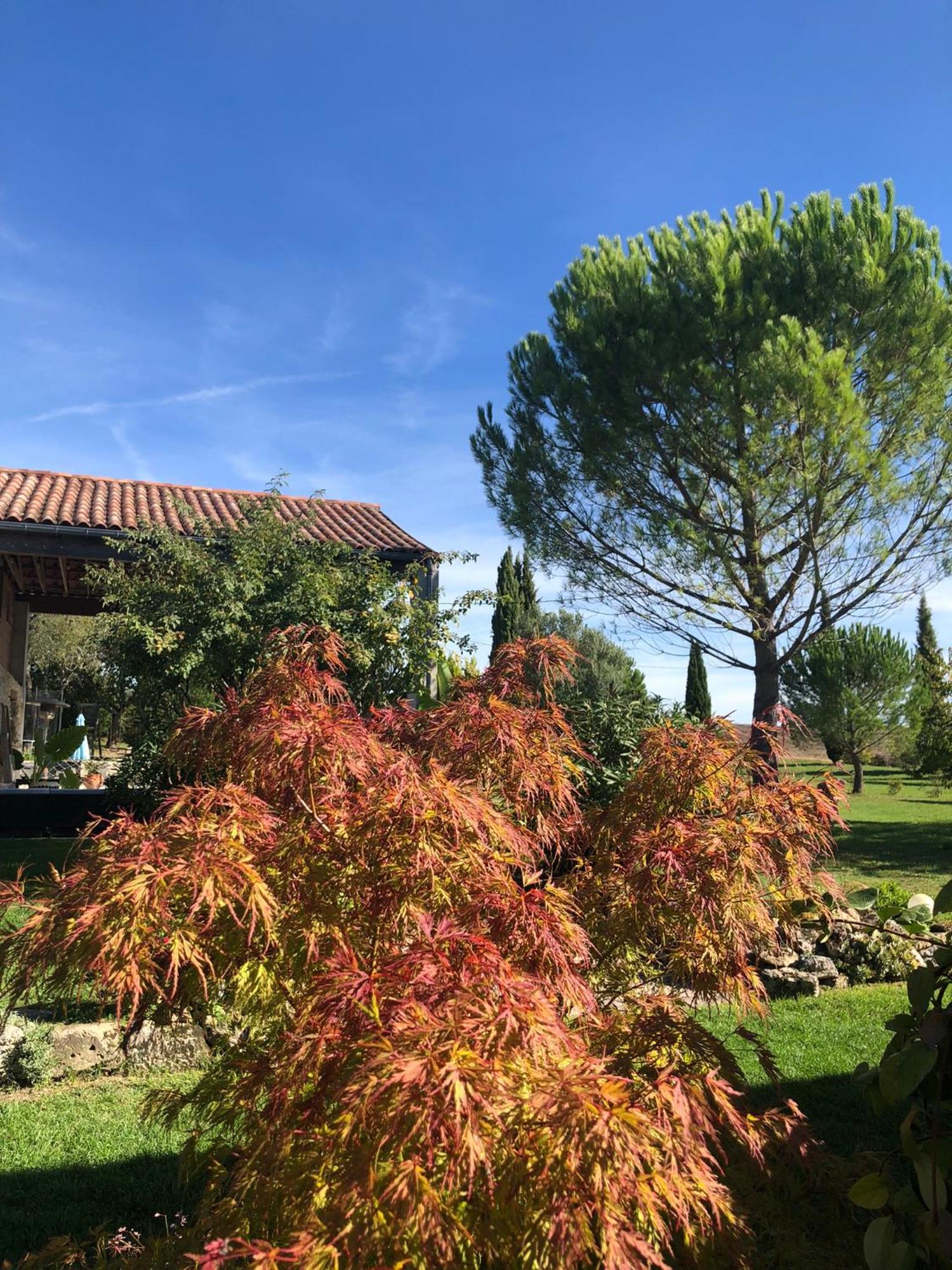 L'insouciant - Domaine La Rose Des Vents Hébergement de vacances *